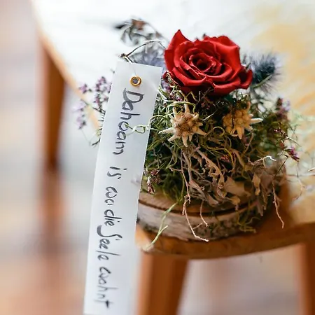 게스트하우스 지가스토프 감스자가 성길벤