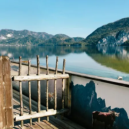 Seegasthof Gamsjaga بيت ضيافة 3*