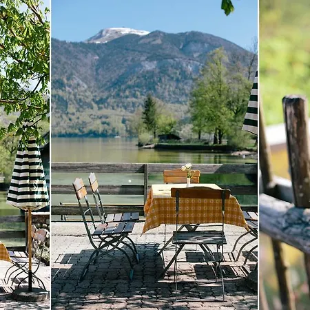 지가스토프 감스자가 게스트하우스